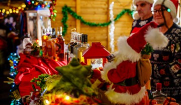 Stad Zottegem zoekt creatieve partners voor kerst- en carnavalsevenementen